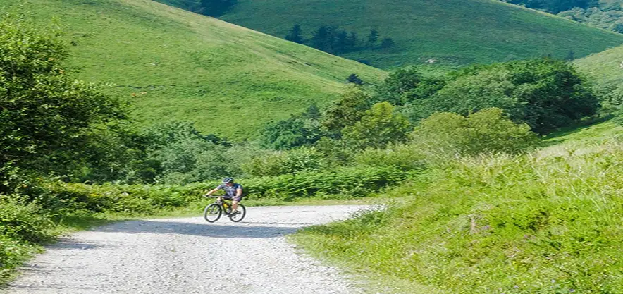 Rectangle 74 5 resultado