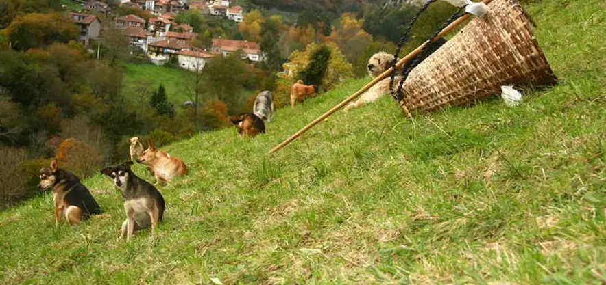 Rectangle 74 6 resultado