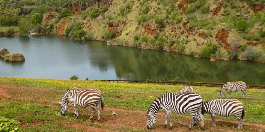 Rectangle 74 7 resultado